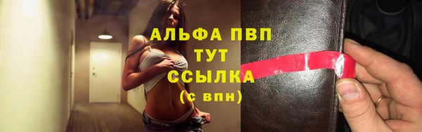 apvp Алзамай