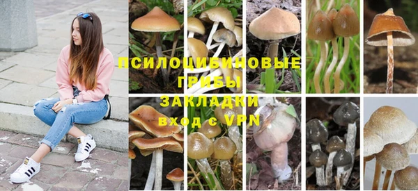 тгк Осташков