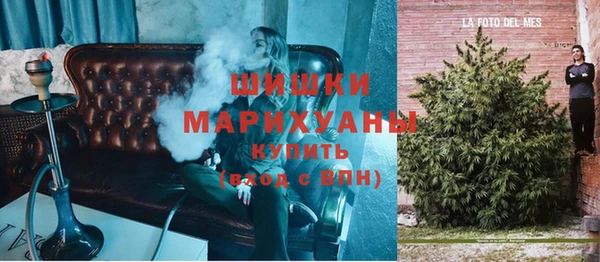 apvp Алзамай
