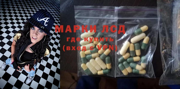 apvp Алзамай
