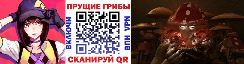 Галлюциногенные грибы Magic Shrooms  Бугуруслан 