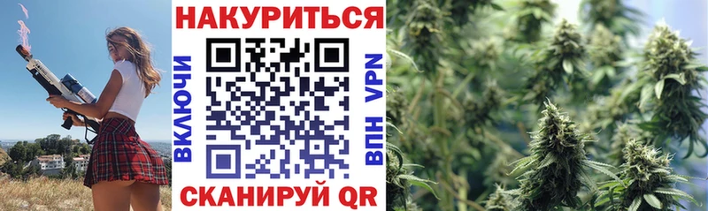 Бошки Шишки гибрид Бугуруслан